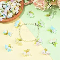 16Pcs Acrylic Pendants&nbsp;PALLOY-FS00075