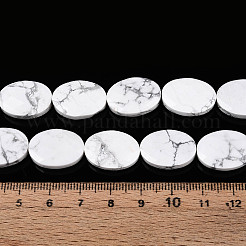 Natural Howlite Beads Strands&nbsp;G-S354-13x18-A11
