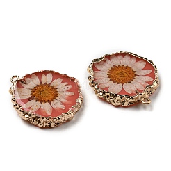 Inner Dried Flower Resin Pendants&nbsp;RESI-P028-02KCG-04