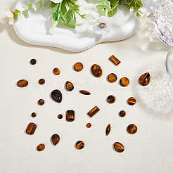32Pcs 12 Styles Natural Tiger Eye Cabochons&nbsp;G-FH0002-20