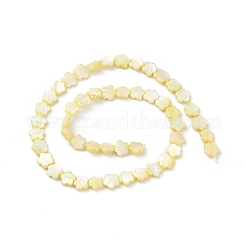 Natural Freshwater Shell Dyed Beads Strands&nbsp;SHEL-K001-001C
