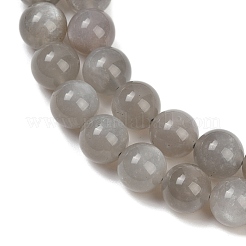 Natural Grey Moonstone Beads Strands&nbsp;G-G206-A01-10mm