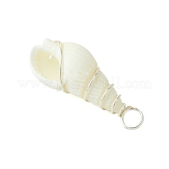 Natural Trumpet Shell Pendants&nbsp;PALLOY-JF02794-02