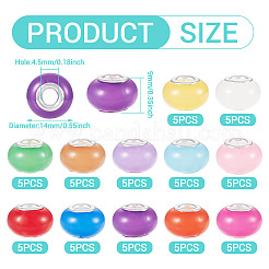 60Pcs 12 Colors Luminous Acrylic European Beads&nbsp;LACR-TA0001-06