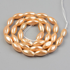 Electroplate Natural Freshwater Shell Beads Strands&nbsp;SHEL-T017-13B