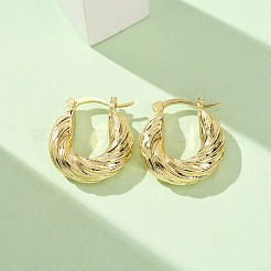 Brass Hoop Earrings&nbsp;EJEW-Z164-32G