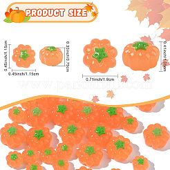 15Pcs Resin Cabochons&nbsp;RESI-YW0005-55