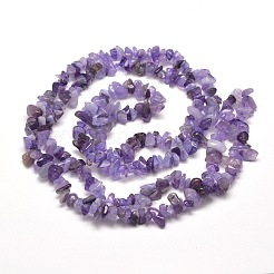 1 Strand Natural Amethyst Chip Bead Strands&nbsp;G-DJ0001-04