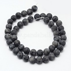Natural Larvikite Beads Strands&nbsp;X-G-D692-6mm