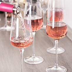 3 Sets Acrylic Wine Glass Charms&nbsp;AJEW-HY0001-91D
