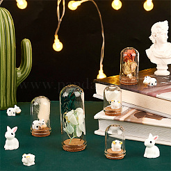 Glass Dome Cloche Cover&nbsp;AJEW-PH0004-18