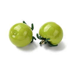 Imitation Vegetable Resin Pendants&nbsp;LS-RESI-K033-03B-02