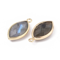 Natural Labradorite Pendants&nbsp;G-L514-023G