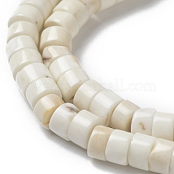 Natural Howlite Beads Strands&nbsp;G-E604-A01-C