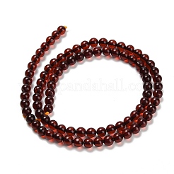 Natural Amber Beads Strands&nbsp;G-Z100-A02-5mm-01