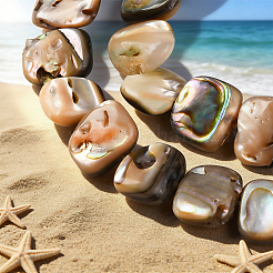 1 Strand Natural Paua Shell Beads Strands&nbsp;BSHE-PA0001-07