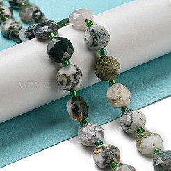 Natural Tree Agate Beads Strands&nbsp;G-NH0015-D04-01