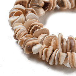 Natural Seashell Shell Beads Strands&nbsp;SSHEL-H072-06