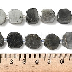 Natural Labradorite Beads Strands&nbsp;G-I394-D19