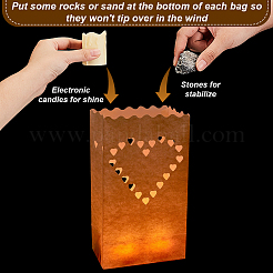 30Pcs 6 Styles Luminary Bags&nbsp;ABAG-GA0001-31