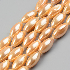 Electroplate Natural Freshwater Shell Beads Strands&nbsp;SHEL-T017-13B