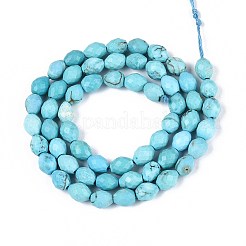 Dyed Natural Blue Turquoise Beads Strands&nbsp;G-T142-80