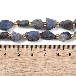 Raw Rough Natural Tanzanite Beads Strands&nbsp;G-D101-A12