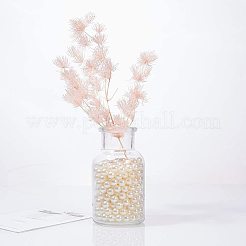 ABS Plastic Imitation Pearl Round Beads&nbsp;PH-MACR-F033-8mm-22