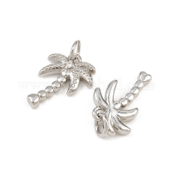 Brass Micro Pave Clear Cubic Zirconia Charms&nbsp;KK-CBA6A75-38P