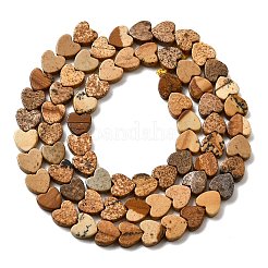 Natural Picture Jasper Beads Strands&nbsp;G-A272-A01-20