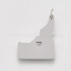Tarnish Resistant 201 Stainless Steel Pendants&nbsp;STAS-T038-88