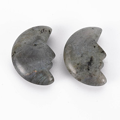 Natural Labradorite Beads&nbsp;G-T132-030