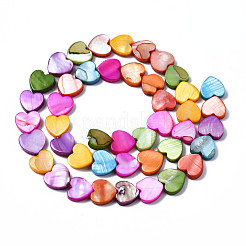 Natural Freshwater Shell Beads Strands&nbsp;SHEL-S278-024A