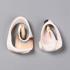 Natural Freshwater Shell Beads&nbsp;SHEL-C001-14