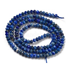 Natural Lapis Lazuli Dyed Beads Strands&nbsp;LS-G-G140-B04-04