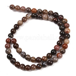 Natural Petrified Wood Round Bead Strands&nbsp;G-F266-08-6mm