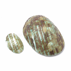 Spiral Shell Beads&nbsp;LS-SSHEL-S258-09