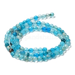 Natural Agate Beads Strands&nbsp;G-Q1000-02H