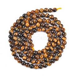 Natural Tiger Eye Beads Strands&nbsp;G-G099-3mm-4