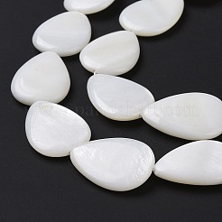 Natural Freshwater Shell Beads Strands&nbsp;X-SHEL-H001-12