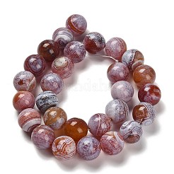 Dyed Natural Carnelian Beads Strands&nbsp;G-G175-A12-01