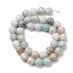 Electroplated Natural Flower Amazonite Beads Strands&nbsp;G-B191-A03-10mm