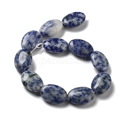 Natural Blue Spot Jasper Beads Strands&nbsp;G-P528-M26-01