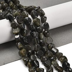 Natural Larvikite Beads Strands&nbsp;G-P497-01E-85