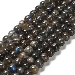 Natural Black Labradorite Beads Strands&nbsp;G-C205-A01-6mm