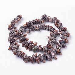 Natural Spiral Shell Beads Strands&nbsp;X-BSHE-L036-31