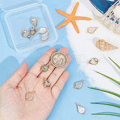 12Pcs 2 Colors Shell Paper Resin Connector Charms&nbsp;KK-BC0012-72