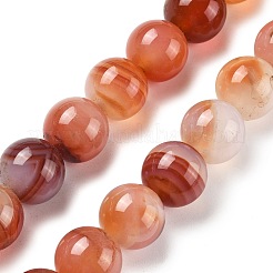 Natural Multi-Color Agate Beads Strands&nbsp;G-A261-B21-14mm