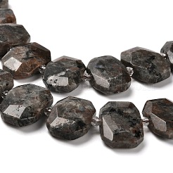 Natural Fluorescent Syenite Rock(Glow under UV Light) Beads Strands&nbsp;G-H078-B11-01