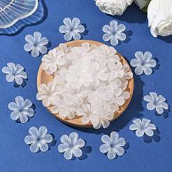 Transparent Acrylic Beads&nbsp;PAF154Y-11